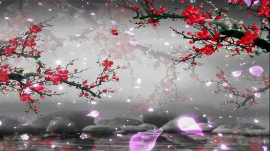 歌曲《一剪梅》背景视频_1920x1080_高清视频素材下载