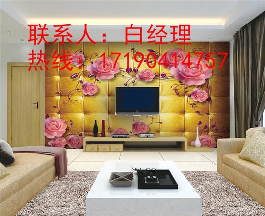 洛阳诺伯豪斯华丽炫彩背景墙彩绘机新型创业机械
