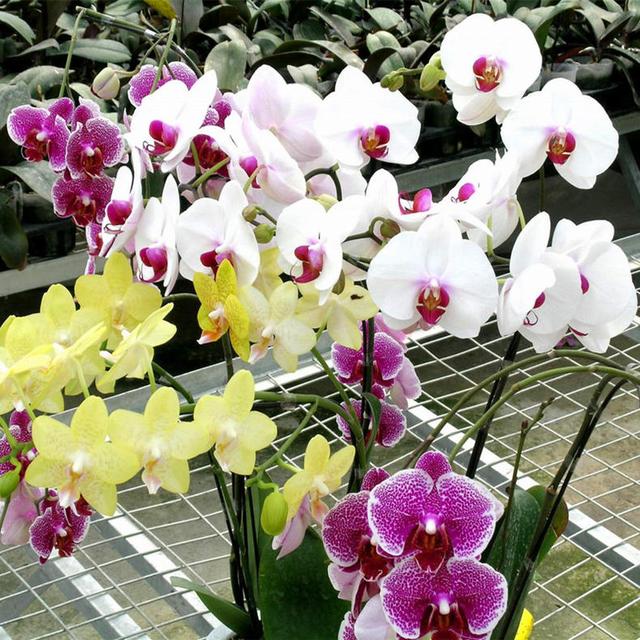 冬天坐月子可以吹空调吗?