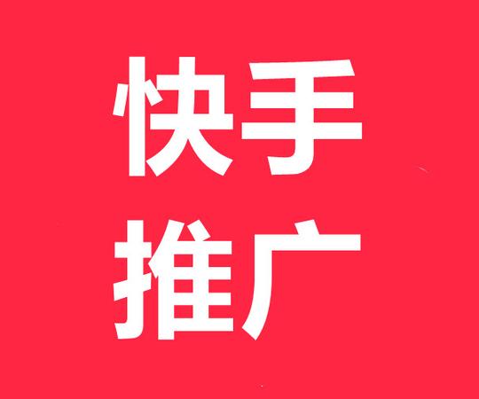 安全可靠快手公司代理商