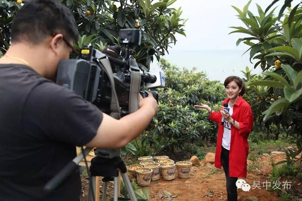 520撞上小满发朋友圈的句子