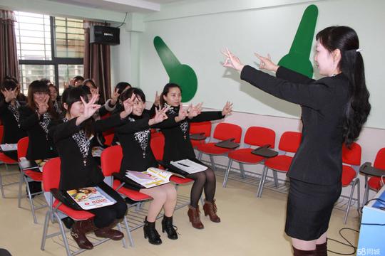 初高中数学教师