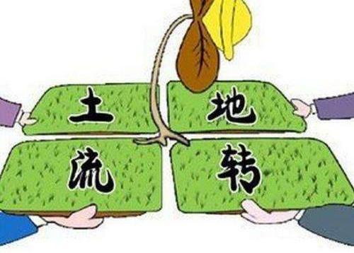 土地转让需要哪些材料?土地转让协议怎么写?