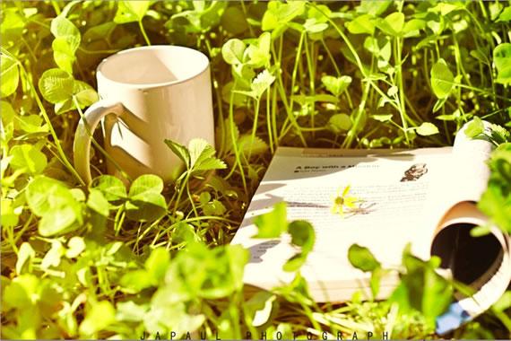 秋分朋友圈说说心情短语