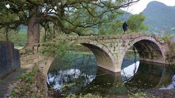 桂林古树残桥图片大全相关长尾关键词有哪些