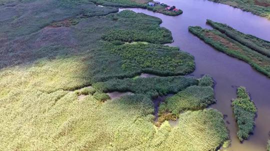 2k航拍河流草地入海口_2560x1440_高清视频素材下载