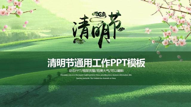 小学清明节活动方案2019