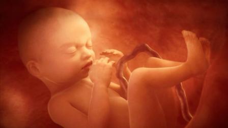 孕妇见红和破水跟胎儿性别有关吗