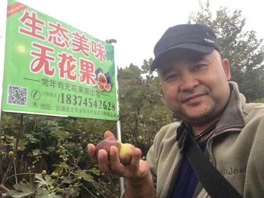 【传奇】一个沅陵农民艰辛创业的故事