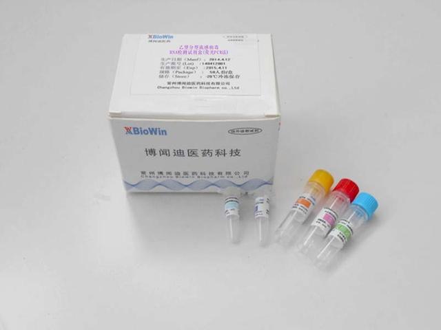 乙型流感严重吗
