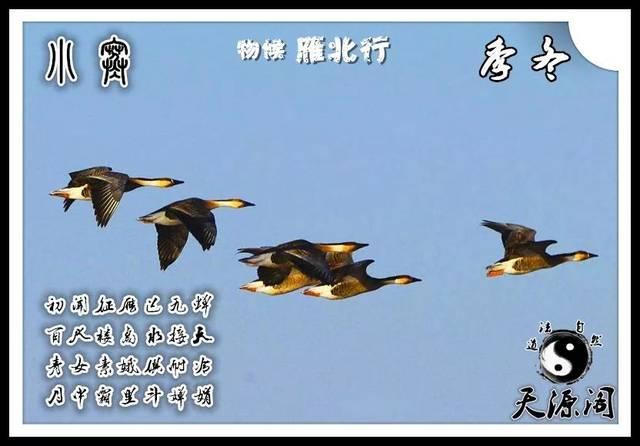 2019年1月17号行房受孕生男生女