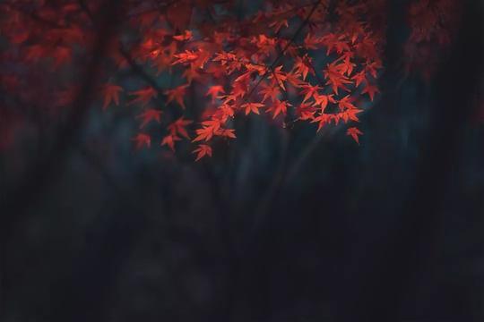 我们老得太快，却明白得太晚