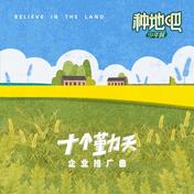 麦芒(十个勤天)