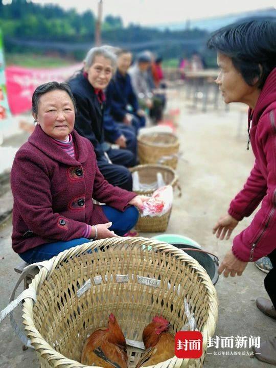 外地务工的妻子回来陪夫创业50岁农民8年"愚公式"开荒办"樱桃节"成功