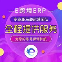 太原亚马逊跨境电商erp店群管理系统个人创业加盟公司转型项目