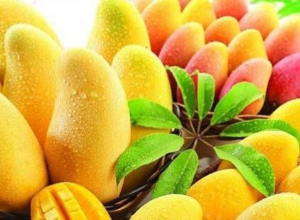 坐月子可以吃水果吗 剖腹产