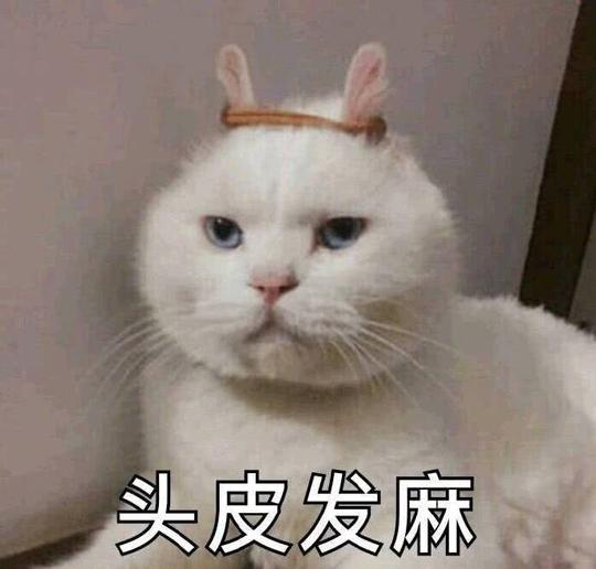 幽默段子笑话:前几天有个女性朋友过生日,我问她要什么礼物