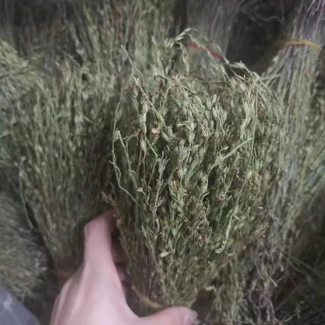 中医小儿疳积是什么意思