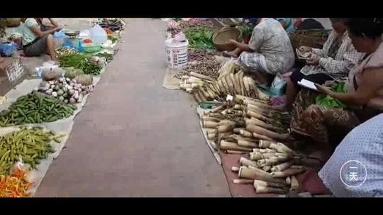 实拍老挝女人做生意,看看老挝的菜市场都卖什么?和我们一样吗?