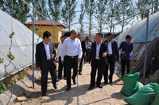 张大勇副主任赴聊城市学习考察优化创新创业发展环境和实施乡村振兴