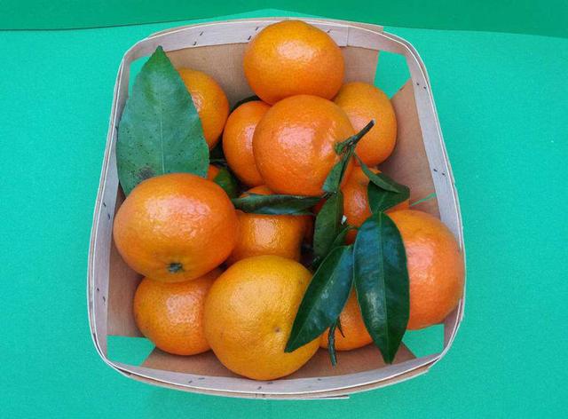 风热咳嗽吃烤橘子能止咳吗