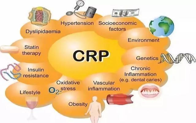 小孩血常规检查报告C反应蛋白(CRP)是什么