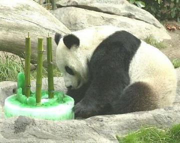 熊猫烧香表情包 一路好走