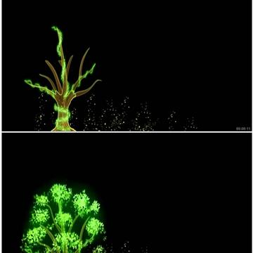 视频分享网站SVS的长尾关键词有哪些