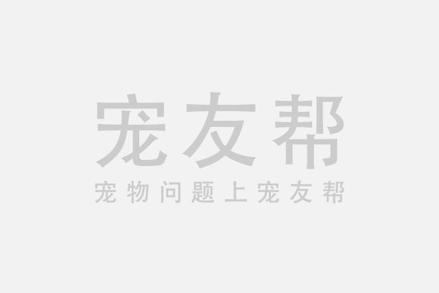 海红鱼的正宗做法？