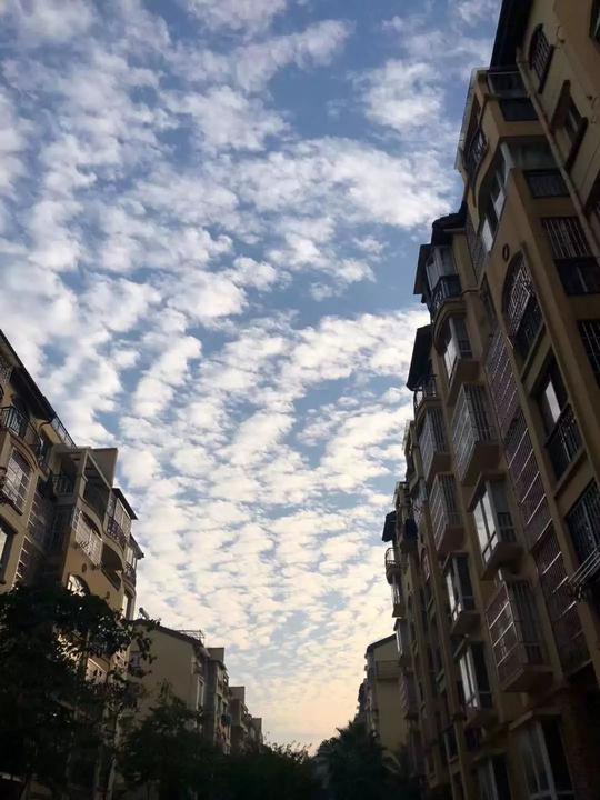 却忽略了风景有时候就在我们身边只需你抬头看一看素材来源:桂林