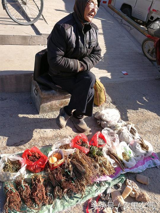 人不可貌相,农村大爷摆地摊,卖的却是稀罕货,懂的人才会捉走