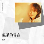 温柔的誓言(任麦)