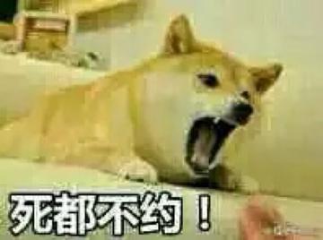 我真是日了狗了搞笑表情包