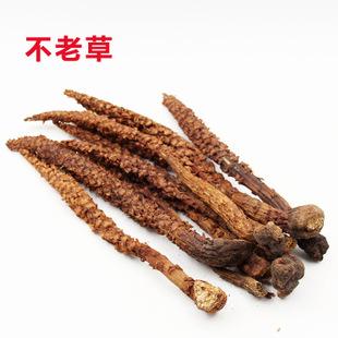 批发大兴安岭不老草草苁蓉东北不老草整根泡酒煲汤