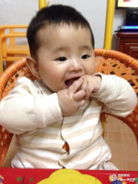 八个月后该不该戒奶