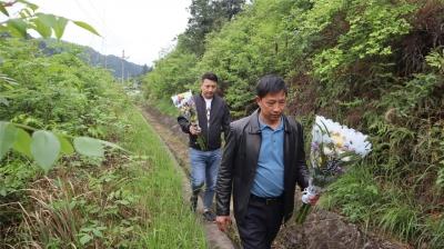 网络中国节·清明|泰和农村党员干部积极带头文明祭扫倡导文明新风
