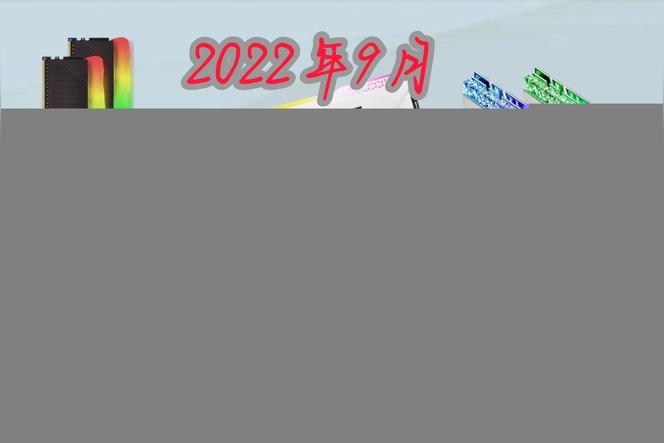 内存条哪个品牌好用性价比高？