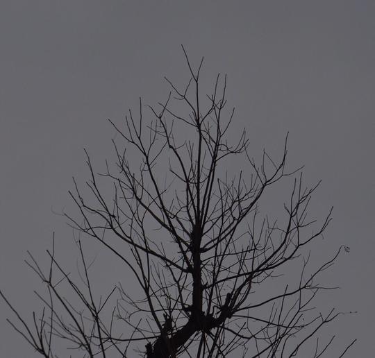 二呆辞摄影手写背景图简单图主页图空间素材/壁纸景色酷很红