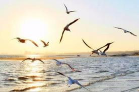 蔚蓝海岸(路飞文)