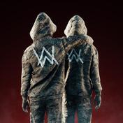 Hero(Alan Walker/Sasha Alex Sloan)