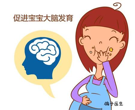 经常吃鱼会使人变聪明吗