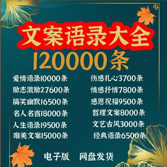 文案语录抖音小红书快手热短视频素材情感励志视频剧本电子版