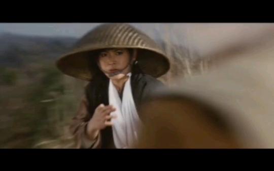 日本冷门罕见稀有动作电影/必杀女拳士必杀女拳士(1976)