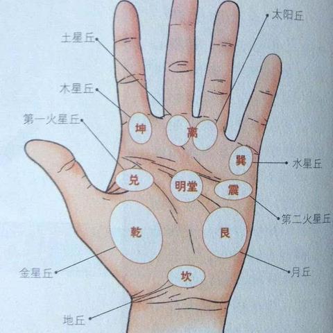 易经八卦手指图 头条搜索