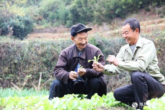 安徽歙县:老班长回乡创业助民脱贫