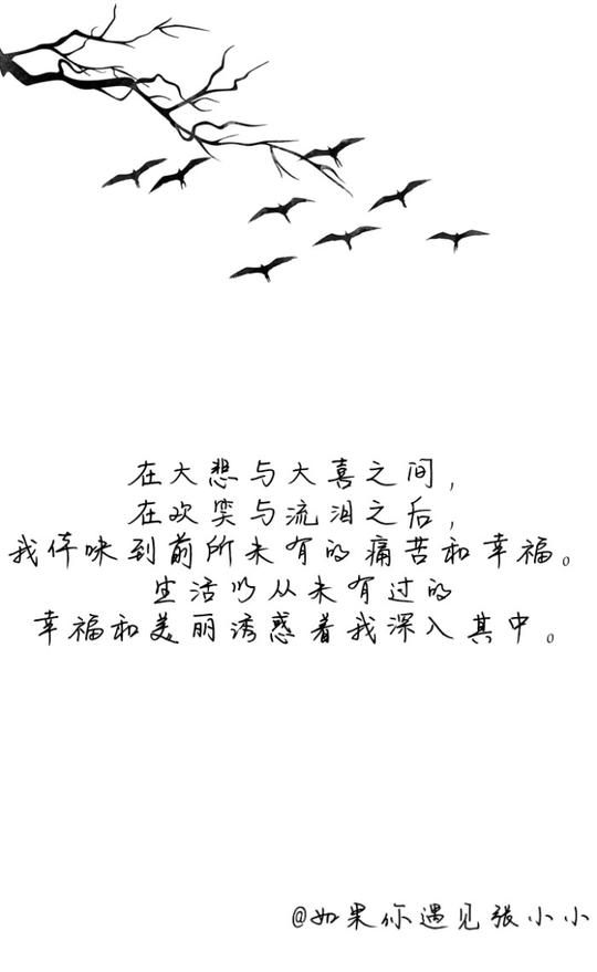 文字随笔便签小清新三行情书文字壁纸台词歌词说说短句森系