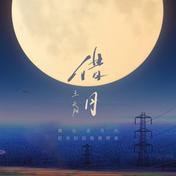 借月(王天阳)