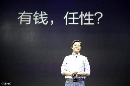 2018年关于雷军的十大创业项目标准