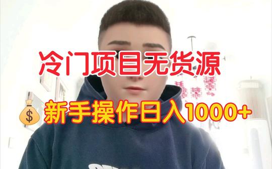 冷门项目无货源，新手小白可操作，附详细教程