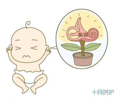 宝宝总是爱抓耳朵是怎么回事